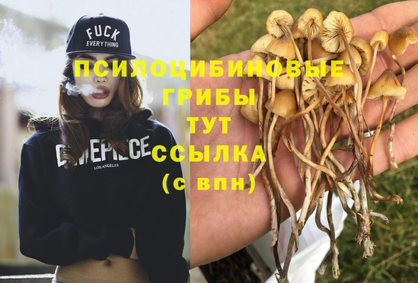 гашик Новодвинск