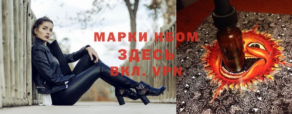 гашик Новодвинск