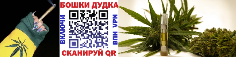 Конопля сатива Урай